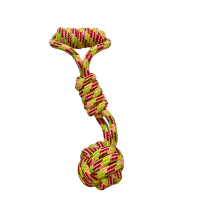 Multicolored braided rope dog toy with handle and knotted ball, designed for chewing, tugging, and fetch play.