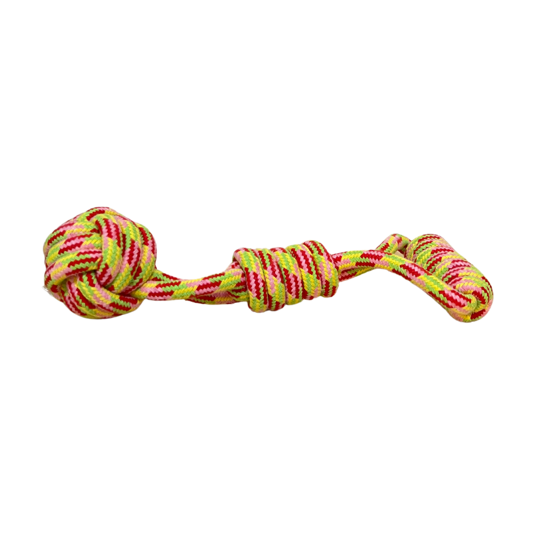 Multicolored braided rope dog toy with handle and knotted ball, designed for chewing, tugging, and fetch play.