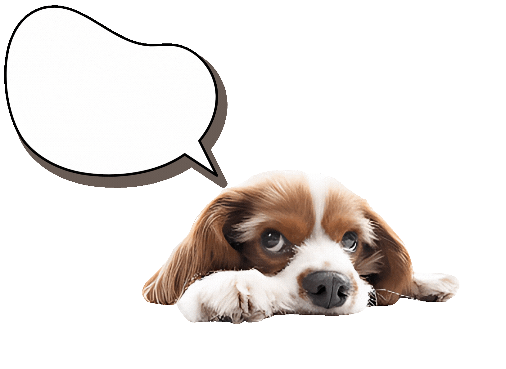 Free Shipping Overlay