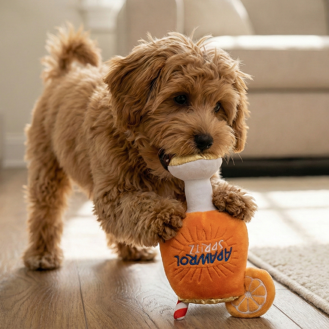 Apawrol Spritz Squeaker Dog Toy