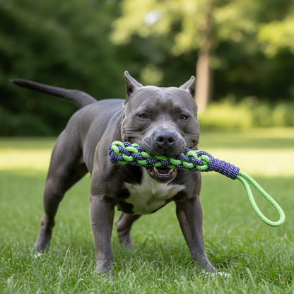 Dog Sling Rope Toy