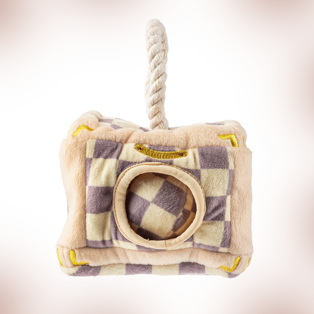 Chewy V Checker Trunk