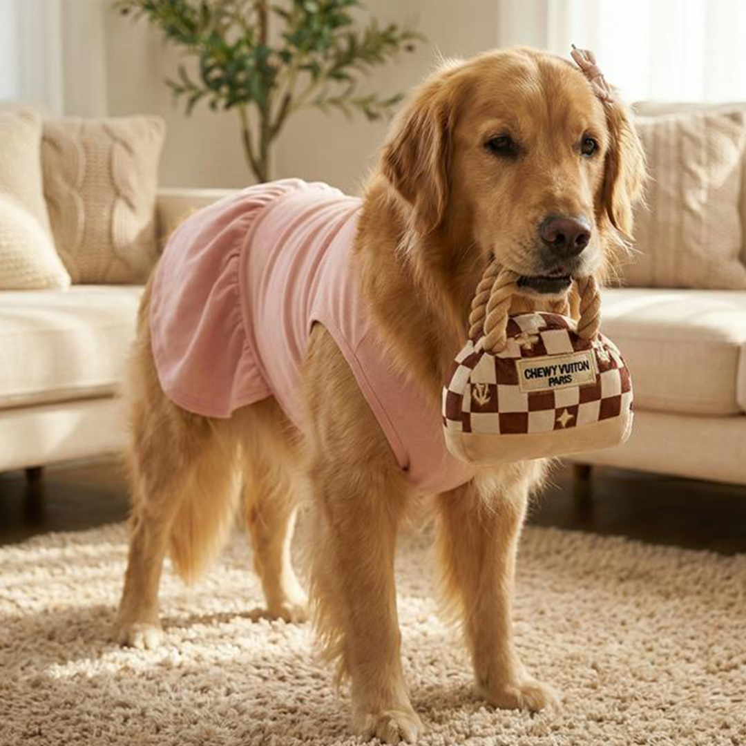 Chewy V Cream Designer Handbag Dog Toy