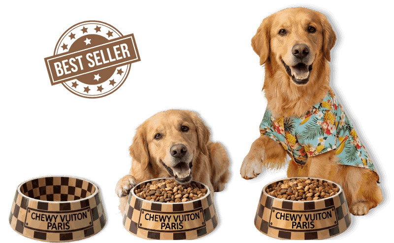 Chewy V Brown Dog Bowl