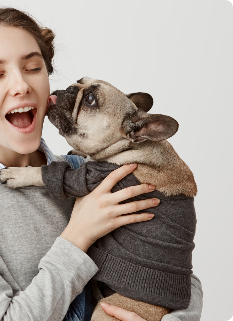 Happy dog with owner
