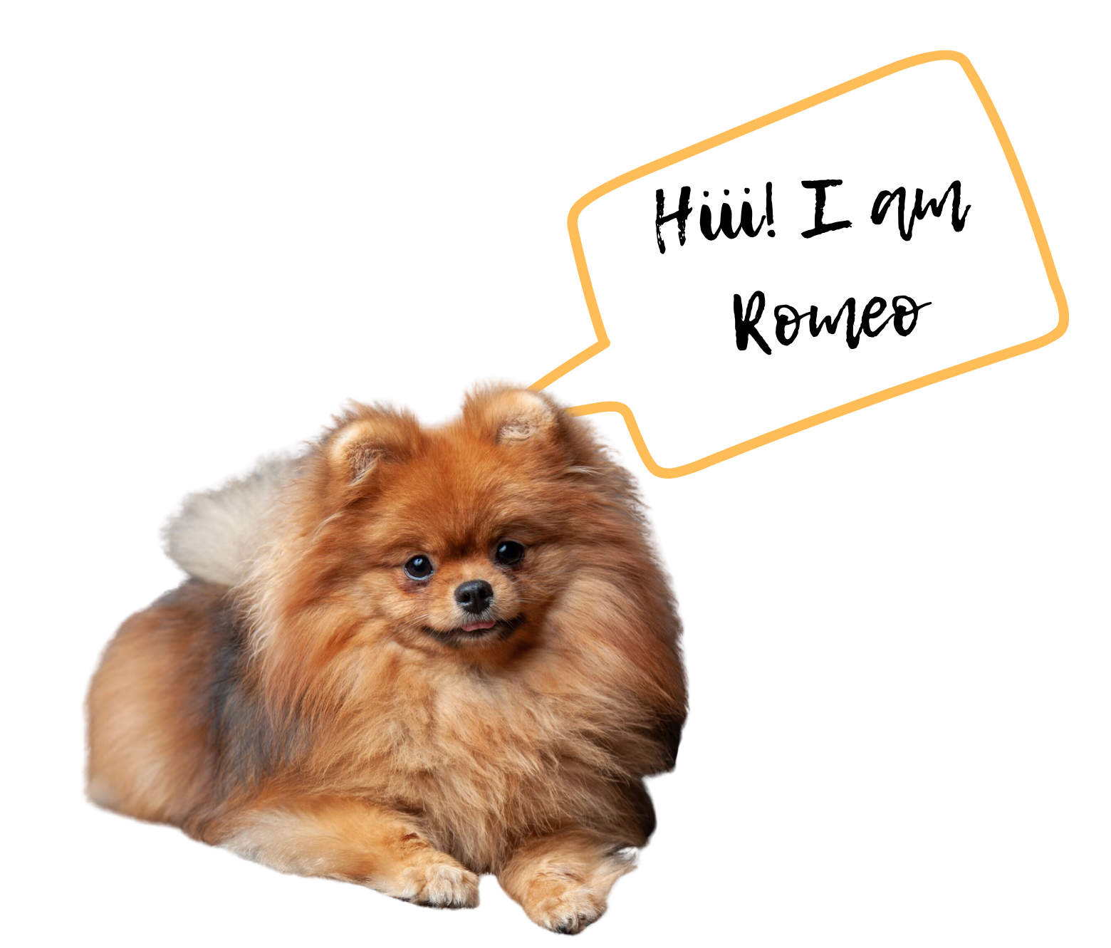 Left Dog Overlay