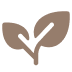Design Icon